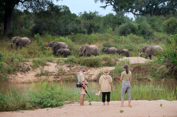 An Insider’s Guide To Mobile Walking Safaris In South Luangwa