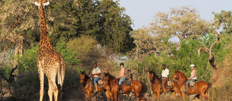 Adventure horseback safari in Mashatu, Botswana.